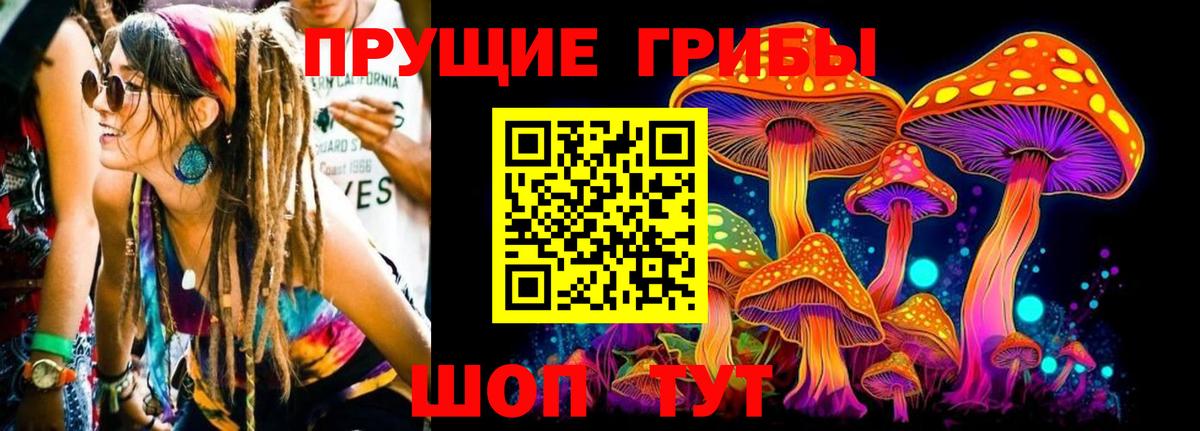 Богородицк  Псилоцибиновые грибы Cubensis  Вход с VPN 
